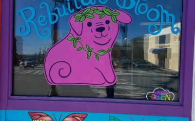 Post-Helene Hero: Patton Avenue Pets