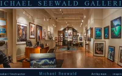 Art for a Cause: Michael Seewald Galleries
